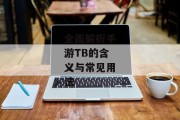 全面解析手游TB的含义与常见用法