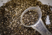 桑叶减肥瘦身,科学饮用指南-桑叶茶饮效果分析