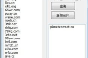 域名查询软件,提升网络管理效率-功能与选择指南