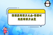 韩国服饰图片大全-韩国时尚服饰图片全览