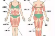 宫中秘瘦燃脂瘦身,传统秘方与现代科技的完美结合-全面解析瘦身奥秘