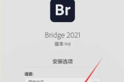 刷手机下拉软件,提升日常信息获取效率-选择与使用指南