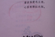 深入解析“漂洋过海来看你”歌词背后的情感与SEO策略