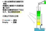 溶脂技术，健康塑形新选择-全面解析与安全指南
