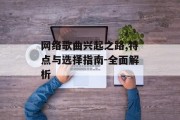 网络歌曲兴起之路,特点与选择指南-全面解析
