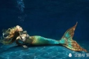 美人鱼图片,神秘海洋传说-视觉艺术解析