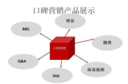 知识营销案例解析-成功策略与实践应用