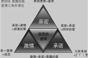 科学瘦身套餐，营养均衡减重无忧-健康瘦身方案解析