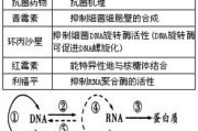 瘦身奶片减肥效果及使用方法解析