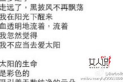 愿得一人心歌词,深情解读-情感共鸣指南