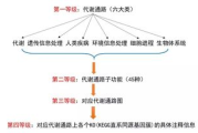 中国好声音2022完整版免费观看指南-线上观看途径解析