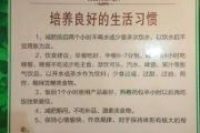 孙劝艾美瘦身会反弹吗？- 瘦身方案解析与反弹风险评估
