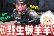 暴躁老阿姨CSGO: 游戏技巧与人格魅力的完美结合-案例分析