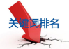 360网站推广策略与技巧解析-提升在线可见性