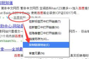 网站快照的含义与作用解析-搜索引擎优化指南
