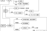 一天八杯水，瘦身真相揭秘-饮水与健康的关联分析