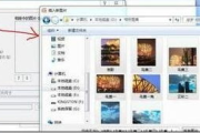 相册制作软件,专业选择与功能解析-解决方案深度分析