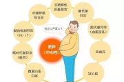 肥胖与瘦身-科学方法与保持健康体重解析
