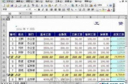 微软办公软件2003使用指南-功能特点与优化技巧解析