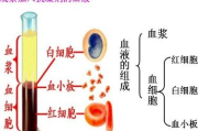 口红与唇膏的区别及如何选择适合自己的产品-详细解析