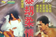 暴劫柔情,情感调适与内心平衡的解决方案解析