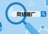 企业网络营销现状分析与优化策略-市场动态与解决方案解析