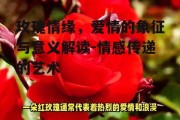 玫瑰情缘，爱情的象征与意义解读-情感传递的艺术