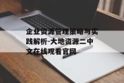 企业资源管理策略与实践解析-大地资源二中文在线观看官网