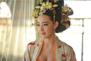 《武媚娘传奇》电视剧深度解析，揭示历史与艺术的完美结合