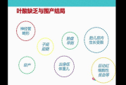 睡眠瘦身方法，科学原理与实用技巧-健康减肥新策略