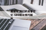 那些年,我们的青春记忆-SEO优化技巧解析