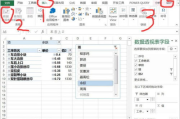 WPS表格瘦身技巧与实践指南