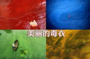 揭秘水中秘密，科技助力未来发展-事物秘密截取技术解析
