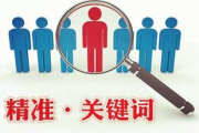 百度软件搜索技巧与优化策略解析