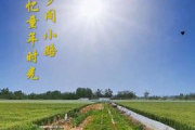 大地资源视频在线观看,高效学习与探索的新途径