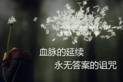 精彩纷呈，《电视剧名称》- 观众口碑爆棚的剧集解析