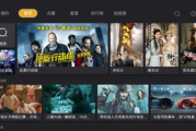 电视直播软件apk安装包下载与使用攻略
