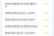 网站收录情况填写指南-SEO优化深度解析