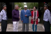 乡村爱情7,经典乡村剧第七部作品解析-人物与剧情深度解读
