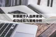 田振崴个人品牌建设-成功经验与策略分析