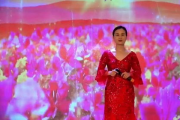 江苏网络科技有限公司,区域科技发展-业务模式与SEO策略解析