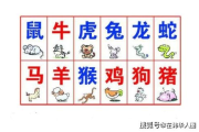 十二生肖配对表解析与相性分析