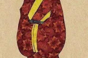 服饰变化史，文化交融与时尚变迁-历史演变解析