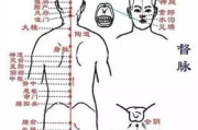 权健火疗瘦身,传统疗法在现代生活中的应用与实践