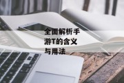 全面解析手游T的含义与用法