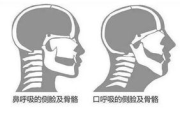 呼吸过度开车时的症状与应对策略-保持健康驾驶体验