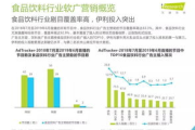网络广告营销案例解析-成功要素与策略分析