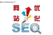 百度首页排名优化哪家专业,专业服务提供商对比分析