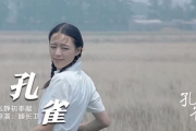 djggg电影网,在线观影新选择-用户体验解析