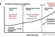 极速瘦身动作,高效燃脂-健康瘦身方案解析